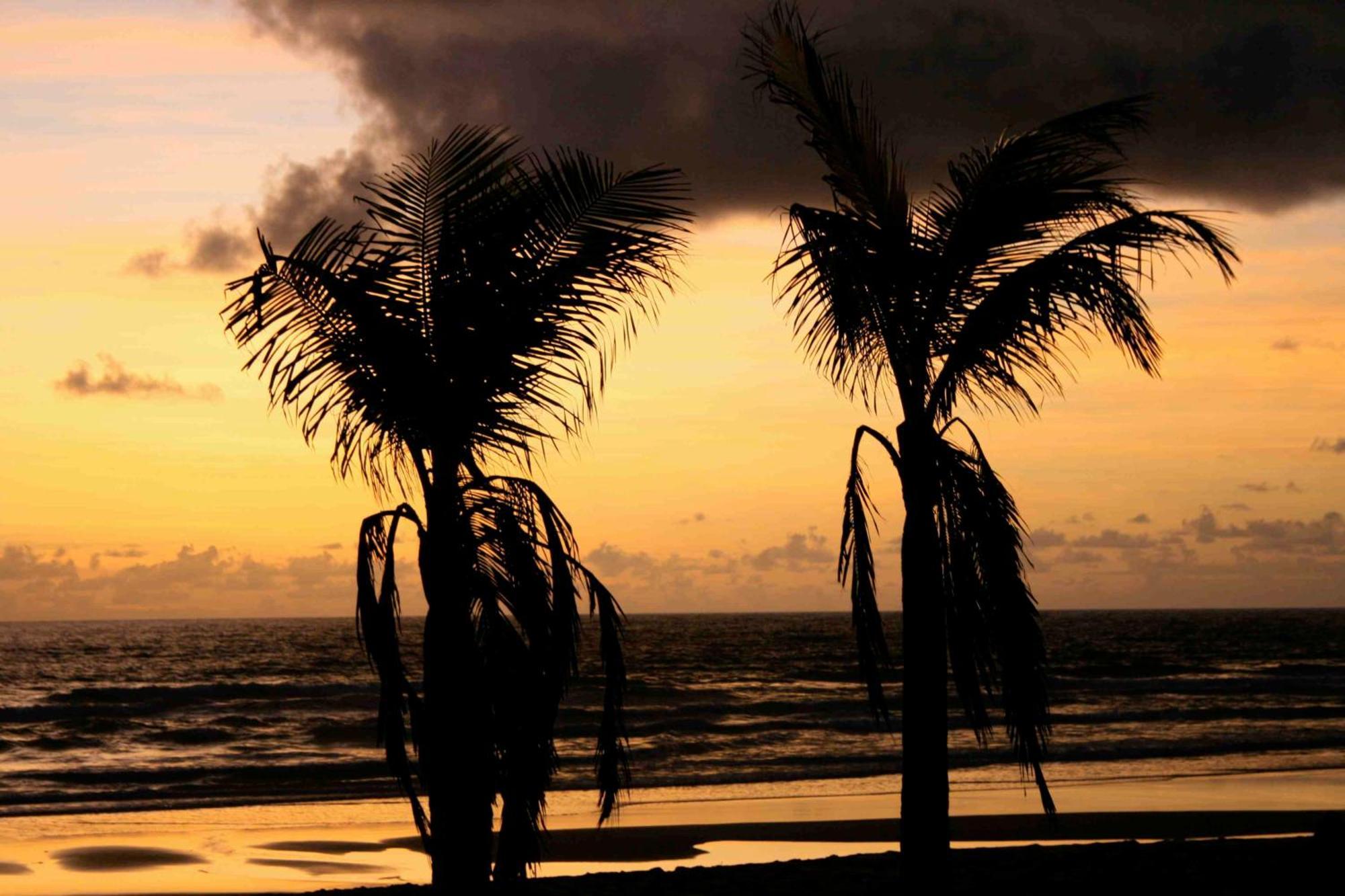 Dreamland Bungalows - Taipu De Fora - Barra Grande Buitenkant foto